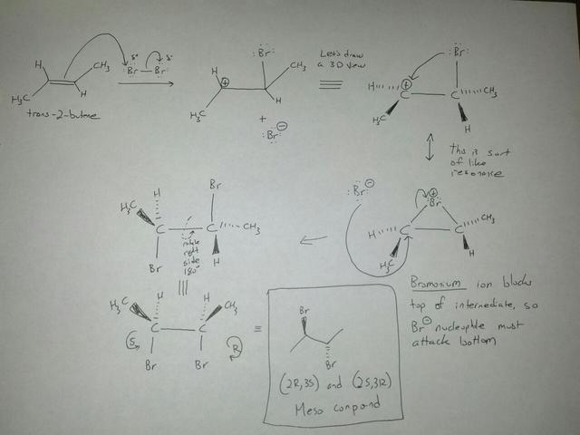 bromination mechanism chem draw bromination mechanism chem draw